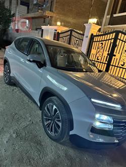 جيتور داشينج